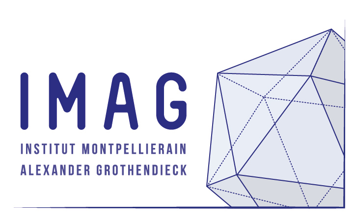 logo IMAG