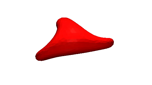 Simulation of an isolated red blood cell sheared at high shear rate in physiological condition of viscosity. 